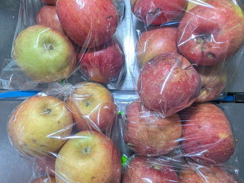 ふじリンゴ家庭用