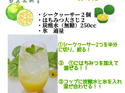 鹿児島県産「グリーンレモン」「シークワーサー」詰め合わせ 箱込み2kg