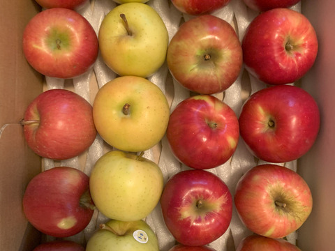丸かじり用【小玉りんご】食べ比べ3種詰合せ2.5kg🍎🍏低農薬で皮ごと安心！【りんご食べ比べ】