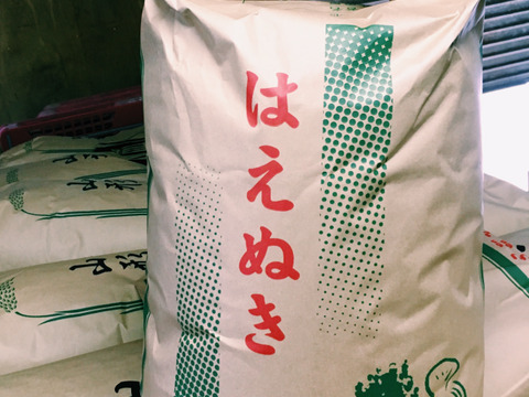 【H30収穫】【白米】はえぬき 5kg 山形県飯豊町産 特別栽培米