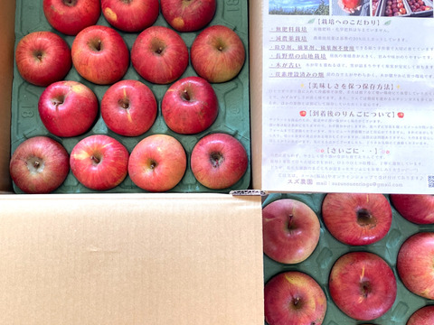 味濃い甘い！サンふじ★無肥料.農薬節約30%〜.除草剤.摘果剤.摘葉剤不使用★【10kg箱】
玉数指定不可/予約販売開始！/家庭用/りんご