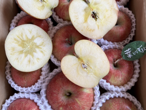 【縁起物】🍎葉とらずふじ⭐️金星（９～１１玉）約３キロ箱 ID179783