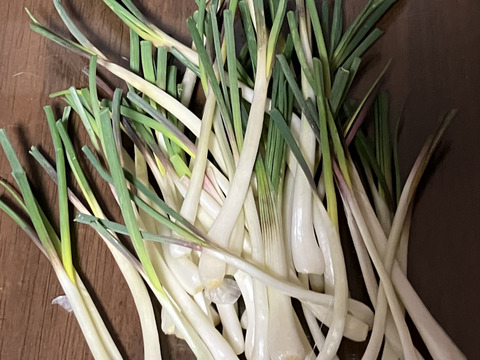 【石垣島産送料込】小ぶりな島らっきょう　200g