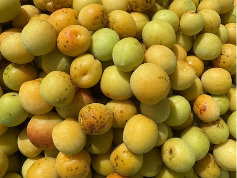 希少な自然農法栽培　農薬不使用 農園自慢の熟し梅　日本古来の原種梅鶯宿です。
サイズ無選別   3キロ以上　サービスでその日に採れた野菜もお入れしてお送りいたします。