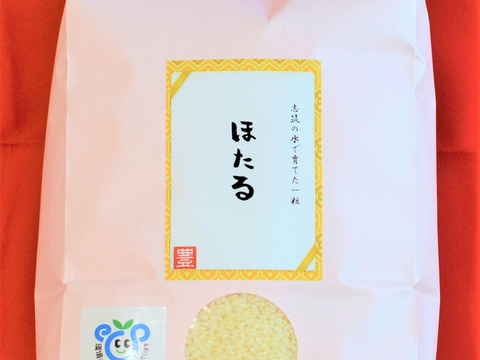 【冬ギフト♪】茨城県茨城県産ミルキークイーン「ほたる」5㎏ 精米済み