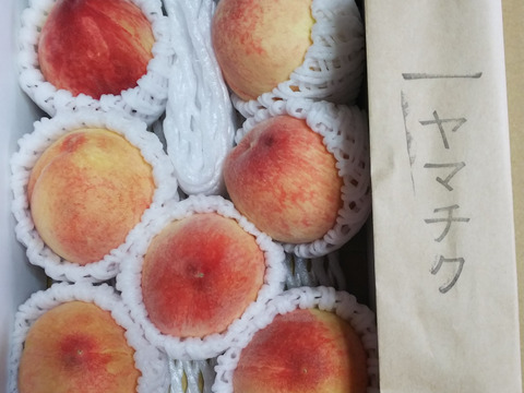【5月下旬】温室桃はなよめ計900g(6〜8個入り)朝市限定