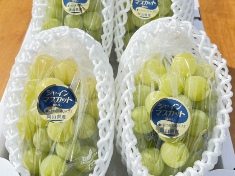 家庭用　岡山県産ゴールデンシャインマスカット4〜5房　１房約300〜450g  80サイズ箱入り