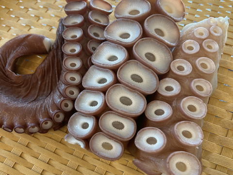 【冬ギフト】数量限定！！一雪の冬ギフト③　のし対応あり！