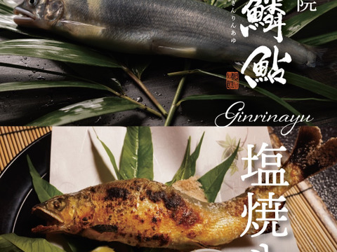 瞬間冷凍鮎（ー40℃）～湯布院の名水で育てた鮎～１㎏（10～13匹入り）