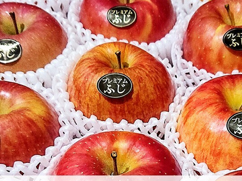 青森りんご 【大人気】【代々受け継がれた匠の味】大きめサイズプレミアム蜜入り葉とらずさんふじ5Kg糖度13度以上