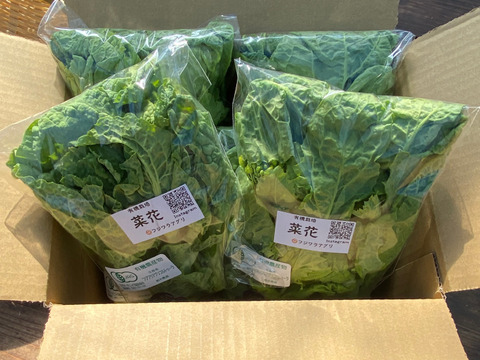≪予約販売≫☆有機JAS認証☆菜花100g×20袋セット2㎏【2月発送予定】