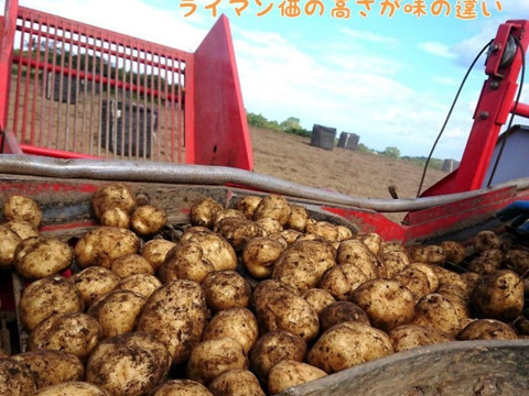 【熟成甘うま】男爵　北海道　じゃがいも　8kg  ジャガイモ　ほくほく　旨い！