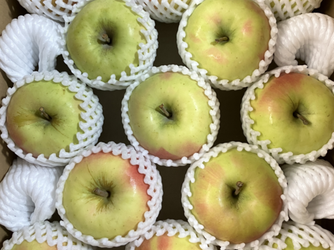 【販売開始！贈答用】 青森県産りんご「ぐんま名月」 約5kg×2箱【光センサー選果】【冬ギフト】