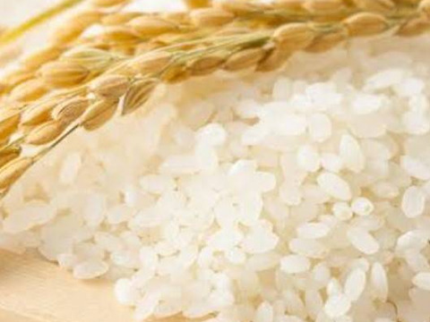 【母の日ギフト】特別な日に贈る北海道米｜ゆめぴりか10kg｜手書きメッセージ付