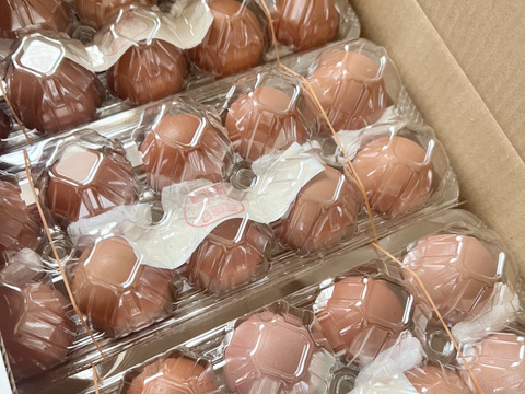 本物の発酵飼料を与えた卵