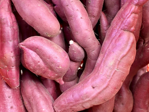 訳ありでも美味しい‼︎ホクホク系「紅あずま」色々なサイズ入り 3キロ箱