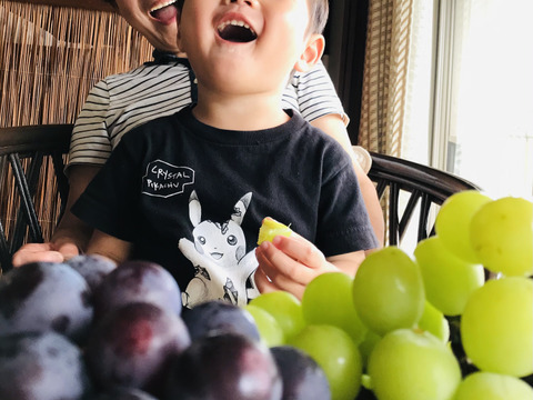 【訳あり品】甘熟シャインマスカット（約1㎏3〜4房）