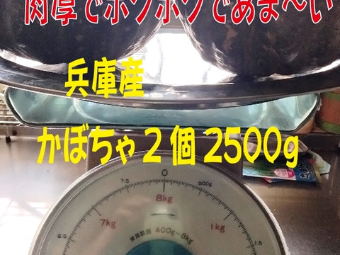 肉厚ホクホク兵庫産 かぼちゃ2個   2500ｇ