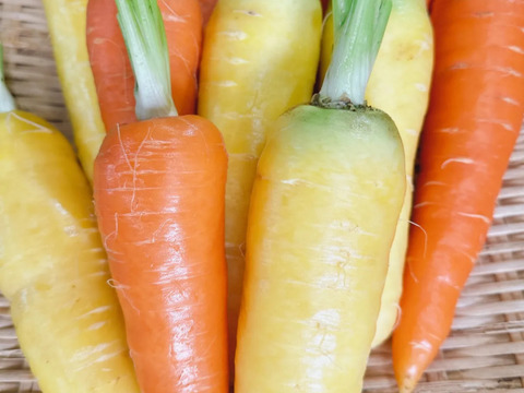 【丹波産】野菜を食べよう‼️冬の野菜詰め合わせセット‼️