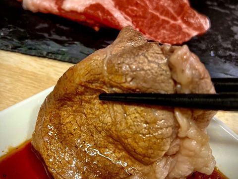 【ふるさと納税・定期便3ヶ月】🥩「とちぎ和牛」A5ランク黒毛和牛×3回＜栃木県那須塩原市＞