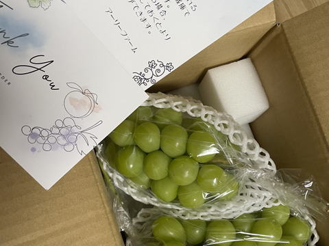 🟢再販🟢人気NO.1商品！！2025年★1.1〜1.2㎏ 2房★種なしシャインマスカット★朝どれ　９月上旬より順次発送！生産量日本一の山梨県産★通常配送　沖縄県 北海道注文不可