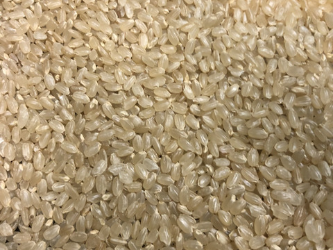 令和4年産ミルキークイーン白米10kg　一等米
有機肥料使用、最小限の農薬で栽培
食味値80点以上