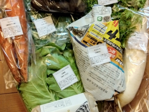 採れたて！季節の野菜セットSサイズ(固定種野菜・農薬不使用)