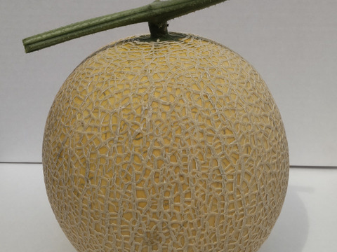 幻のメロン赤　北海道栗山町産２玉