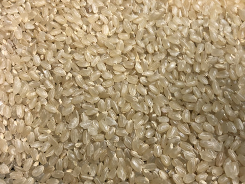 令和4年産　コシヒカリ自家消費用白米10kg一等米特別に販売します
有機肥料使用で、食味値80点以上