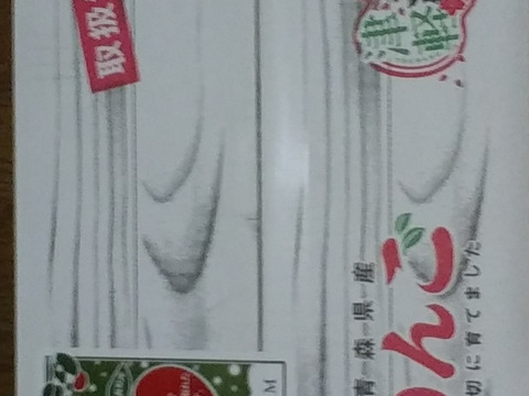 弘前市産最高級品蜜入り希少雪完熟りんご５kg１６個入