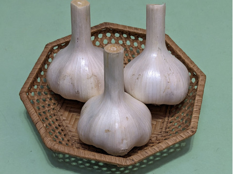 採りたて新鮮『にんにく』3玉300ｇ 滋養強壮みずみずしくガツンと旨い！数量期間限定！