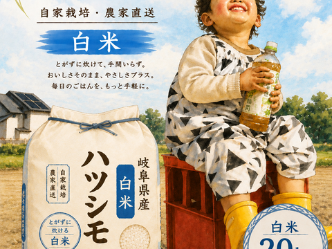 岐阜のお米 ハツシモ 白米20Kg 1等米 新米！11月初旬から発送開始 岐阜のお米！ ハツシモ 1等米 白米20Kg(令
