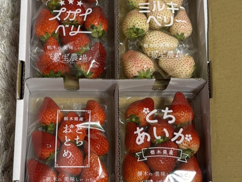 【春イチゴ】【お得価格】摘みたて直送！ミルキーベリー入り！とちぎのいちご4種詰め合わせセット（4パック）（260ｇ×4パック）【いちご食べ比べ】