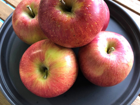 【りんご】シナノスイート 3kg（8~13 玉）贈答・家庭用ミックス商品