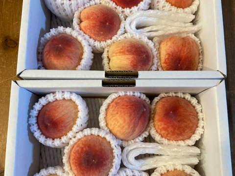 【100円🉐】温室桃「日川白鳳」計1.8kg(10〜16個入り)