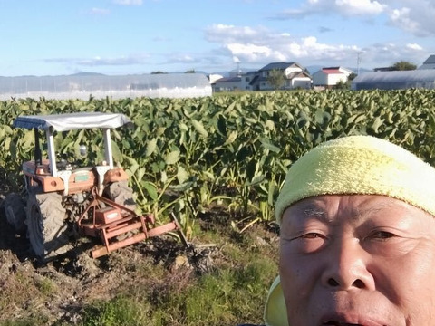 山形いも煮会　洗いさといも（皮むき）
５００ｇ✕４パック、トロ〜リ柔らか、
すぐに調理可能です！