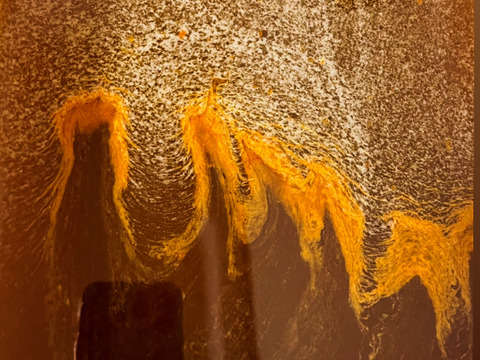 【福袋2025】野生日本蜜蜂　花粉蜜1個110g【非加熱の生はちみつ】🎉8周年記念スペシャルプライス🎉  人気の日本蜜蜂の花粉蜜4,260円→3,400円（800円OFF！）