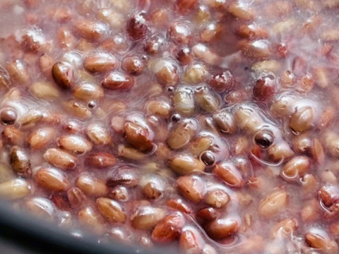 【農薬を使わない合鴨農法】稲作から始まる自家製赤米糀【冷蔵 200g】