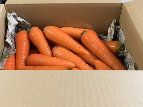 【有機JAS認証】採れたて人参3kg、みずみずしい！味が濃い！甘みも十分！