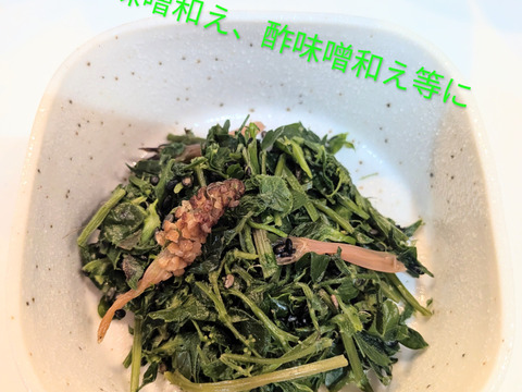 春先の柔らかなおまかせ野草セット🌿カラスノエンドウ、スギナ（つくし）、ヨモギ、ハコベ、その他 ※ご注文のタイミングによって変化しますのでおまかせセットとなります※不用な野草はご連絡ください