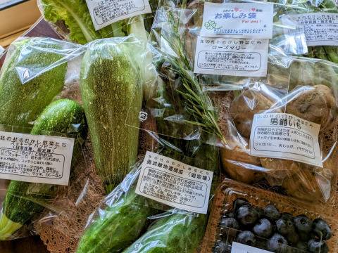 ＜自然栽培・固定種の彩り野菜BOX　Mサイズ６品～７品＋お楽しみ袋＞肥料不使用、農薬も不使用で、きめ細かな食感とやさしい甘さ、生命力のある≪野菜・果樹たち≫を八ヶ岳南麓よりお届けします