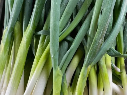 【丹波産】野菜を食べよう‼️冬の野菜詰め合わせセット‼️