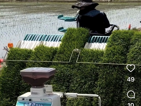 新潟県産純米コシヒカリ おためし2kg【令和7年産 新米🌾】【お歳暮も承ります】