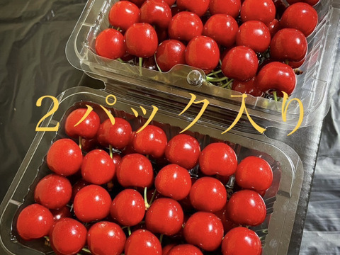 （特別価格！！！)山形県産　さくらんぼ　紅さやか　400g