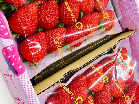 今話題のいちご「あまりん」2パックセット