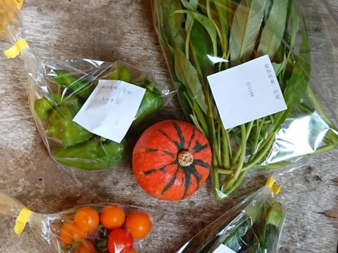 野菜boxSSサイズ