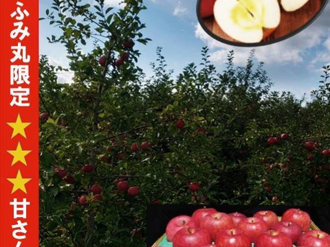 青森県産りんご！　大人気りんご！　糖度13%以上保証　限定販売　100箱　家庭用サンふじ約5キロ