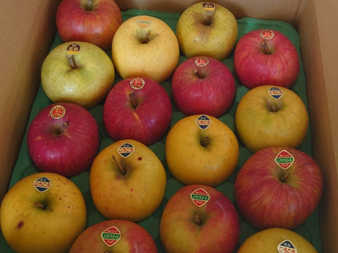 【岩手・紫波町】特別栽培「サンふじ」を含む食べ頃りんご詰め合わせ（無印・5kg）※12月以降「はるか」が入ります