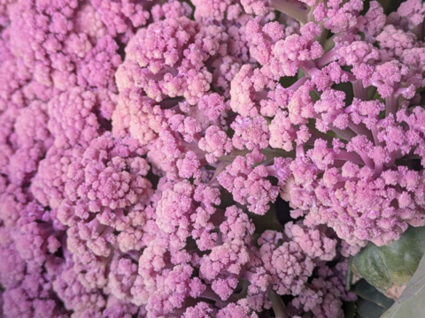 ❄☃️７品冬の野菜セット☃️❄