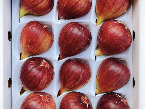 【ギフトにも】いちじくプリンセス